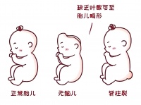 备孕不只是女人的事,男人也需要补充叶酸!