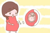 想做试管婴儿怀双胞胎可以吗?需要满足哪些条件?
