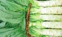 原创 补充叶酸的食物有哪些?这些食物叶酸含量最多