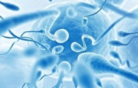原创             备孕期间，如果有这3种感觉就是受精卵着床了，恭喜你好孕了！