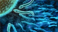 原创             备孕时老公查出有问题怎么办？如何提高精子质量？