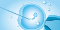 原创             试管婴儿胚胎分类 如何养出 A级囊胚