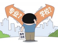 新高考对偏文的孩子有影响吗
