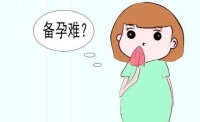 高龄备孕的女性，该如何保护你的生育力呢？