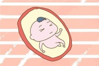 子宫内膜增厚会不会影响试管婴儿正常治疗?