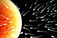 原创             想要精子健康，男人除了戒烟戒酒，还有三件事要守住