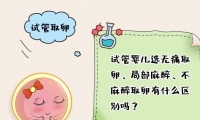原创             试管婴儿选无痛取卵、局部麻醉、不麻醉取卵有什么区别吗？
