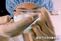 原创 做试管婴儿对女性有什么伤害?
