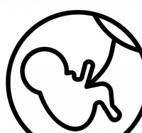 原创 关于做试管婴儿的年龄上限 过来人都这么看