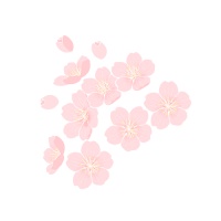 科学备孕,孕前准备有哪些?(内含必查项目)