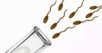 原创             怀不上、生不出，做试管婴儿就可以了？
