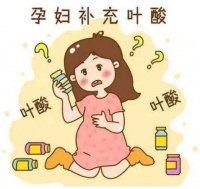 孕妈必吃的叶酸，便宜or贵?