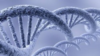 男子多一条X染色体备孕无果,上海医生切开其睾丸找到健康精子