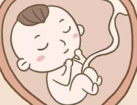 哪些症状可能是长了巧克力囊肿?试管治疗能怀吗?