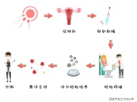 不孕不育疾病及试管婴儿治疗:现代解决不孕问题的有效方法