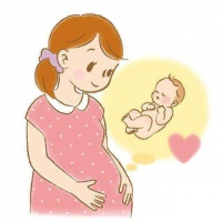 【贝贝壳保贝计划】试管婴儿能避免宫外孕的出现吗?