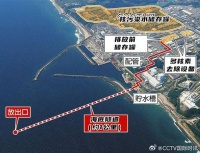 核废水排入大海，我们还可以备孕生娃吗？