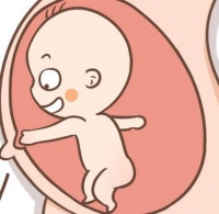 如何保养子宫,提高试管好孕率?