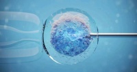 宝宝灯塔：试管三代包成功?别信!真相在这里