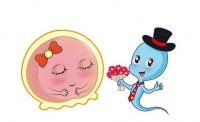 红睦房祝秀英医生:备孕也要做功课,并不是找准排卵期就可以