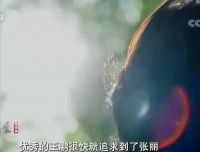 原创 背着不孕妻婚外得子,两头跑还每夜回家,一通电话东窗事发|法堂