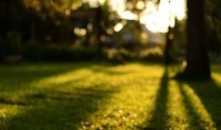 原创             备孕期间你的居住环境合格吗？这几点尤为重要，看你有没有中