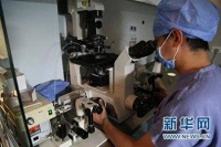 “试管婴儿”费用进医保,能省多少钱?