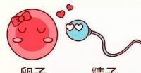 原创 关爱精子是每个男人的责任,戒除4种恶习让你有一个健康的自己