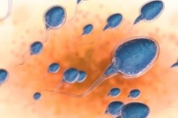 原创 常喝的3种水,精子可能不喜欢,可惜很多男同胞都不知道,别忽视