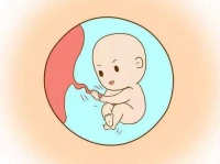试管婴儿助孕治疗取卵前后需要注意哪些方面?