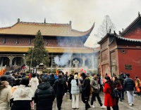 千个龙宝上南岳!备孕“小龙宝”,草莓好孕节来帮忙