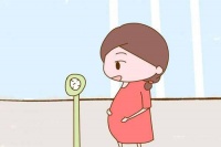 在试管婴儿胚胎移植后什么时候能去上厕所?