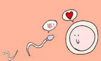 原创 女人有这3种反应,说明是在排卵期,备孕的夫妻别错过机会!