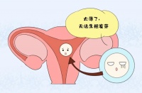 试管婴儿解密 丨 面对反复失败,如何改善孕育新生命的“土壤”?