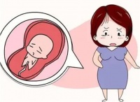 上海红睦房中城医院:多囊女性如何备孕?怀孕后又该如何保胎?