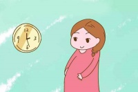 不孕不育的概率为什么越来越高?该如何避免?