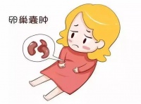红睦房祝秀英医生:备孕期间发现卵巢囊肿怎么办?
