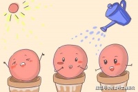 做试管婴儿什么时候开始促排卵？促排卵需要多久？