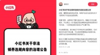 上官正义曝光平台存在“领养送养”孩子 小红书发布治理公告
