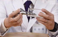 一场关于“鸭嘴钳”的公共讨论