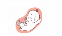 进行试管治疗前进行中医调理会有帮助吗?