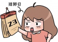 南昌华儿山生殖小课堂 怎么知道自己排卵了