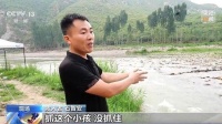 事发河北!男童不慎滑落激流 热心男子跳河救起