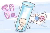 智特张欣日本试管冻卵高端体检:高龄夫妇想获得试管婴儿成功先要养好卵