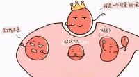 南昌华儿山生殖科普 多囊如何快速长出优势卵泡