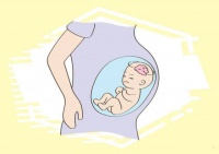 备孕期间的夫妻们如何调节好生物钟?
