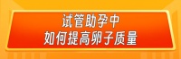 科普丨最佳生娃时机别错过!选择试管助孕,促排卵期可以这样吃