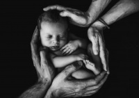 【籽多多】女性备孕期营养补充指南:吃得健康,迎接新生命