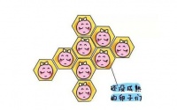 兰州天伦备孕专家科普:开始备孕中,如何提高备孕几率?