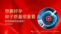 什么食物促进卵泡发育